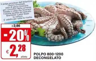 Il Gigante Polpo 800-1200 decongelato offerta