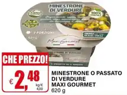 Il Gigante Minestrone o passato di verdure maxi gourmet offerta