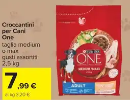 Carrefour Croccantini per Cani One offerta
