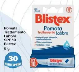 Carrefour Pomata Trattamento Labbra SPF 10 Blistex offerta