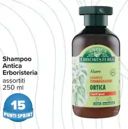 Carrefour Shampoo Antica Erboristeria offerta