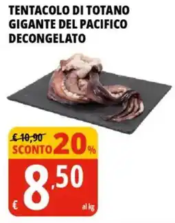 Tigros Tentacolo di totano gigante del pacifico decongelato offerta