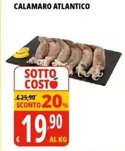 Tigros Calamaro atlantico offerta
