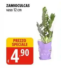 Tigros Zamioculcas vaso 12 cm offerta