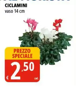 Tigros Ciclamini vaso 14 cm offerta