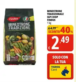 Tigros Minestrone tradizionale igp e DOP FINDUS offerta
