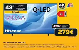 Euronics Hisense Q-LED SMART 43E79Q offerta