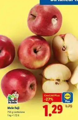 Lidl Mele Fuji offerta
