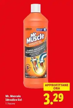 Lidl Mr. Muscolo Idraulico Gel offerta