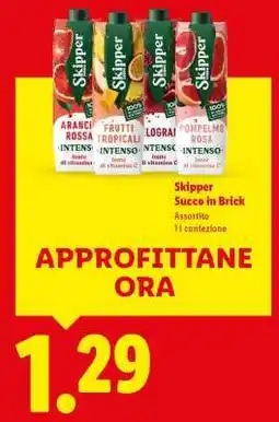 Lidl Skipper Succo in Brick offerta