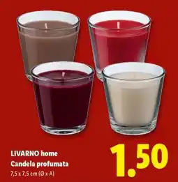 Lidl LIVARNO home Candela profumata offerta