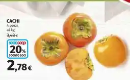 Coop Cachi offerta