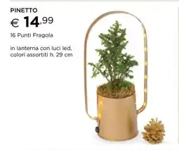 Esselunga PINETTO offerta