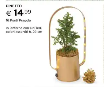 Esselunga PINETTO offerta