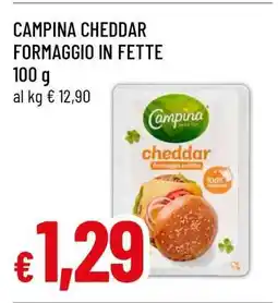 Famila CAMPINA CHEDDAR FORMAGGIO IN FETTE offerta