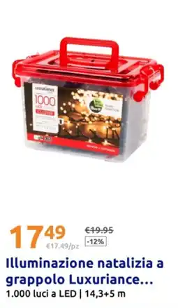 Action Illuminazione natalizia a grappolo Luxuriance offerta