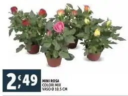 Deco Supermercati Mini rosa colori mix vaso ø 10,5 cm offerta