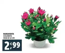 Deco Supermercati Margherita colorata vaso ø 12 cm offerta