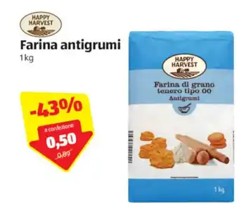 ALDI Farina antigrumi 1kg offerta