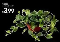 Bennet Photos offerta