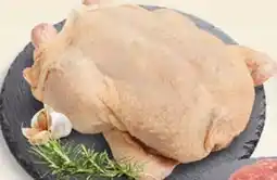 Conad Pollo a busto offerta