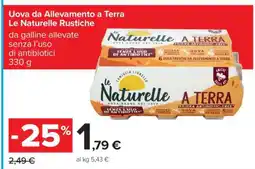 Carrefour Uova Da Allevamento A Terra Le Naturelle Rustiche offerta