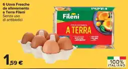 Carrefour Market 6 Uova Fresche da allevamento a Terra Fileni offerta