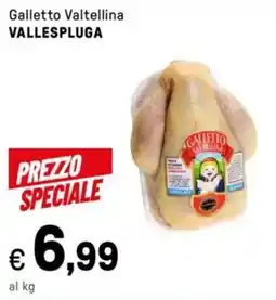 Iper La Grande Galletto Valtellina VALLESPLUGA offerta