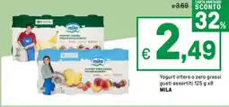 Iper La Grande Yogurt intero o zero grassi MILA offerta