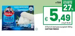 Iper La Grande 4 Fiori di merluzzo surgelati CAPITAN FINDUS offerta