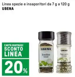 Iper La Grande Linea spezie e insaporitori UBENA offerta