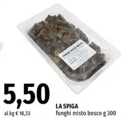 Famila Market LA SPIGA funghi misto bosco offerta