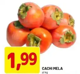 DPiù Cachi mela offerta