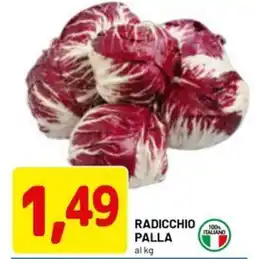 DPiù Radicchio palla offerta