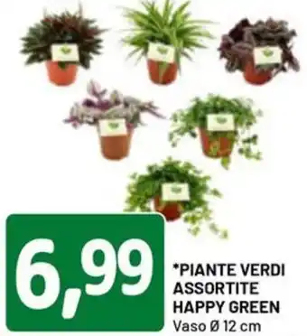 DPiù Piante verdi offerta