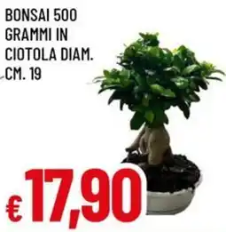 A&O Bonsai 500 grammi in ciotola diam. cm. 19 offerta