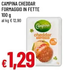 A&O Campina cheddar formaggio in fette offerta