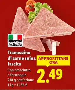 Lidl Tramezzino di carne suina farcito offerta