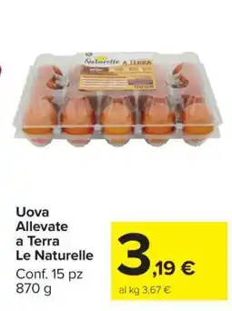 Carrefour Uova Allevate a Terra Le Naturelle offerta