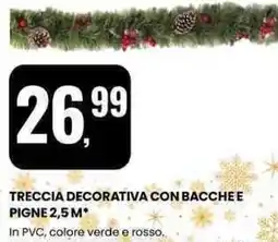 Eurospin Treccia decorativa con bacchee pigne offerta