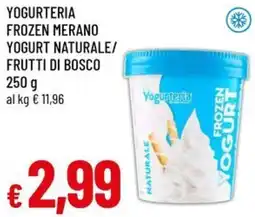 A&O Yogurteria frozen merano yogurt naturale/ frutti di bosco offerta
