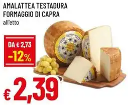 A&O Amalattea testadura formaggio di capra offerta