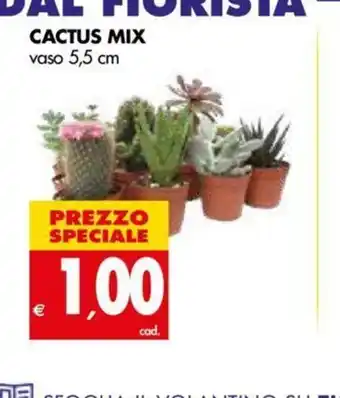 Cactus Mix 5,5cm