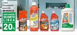 Iper La Grande Linea Disgorganti MR MUSCLE offerta