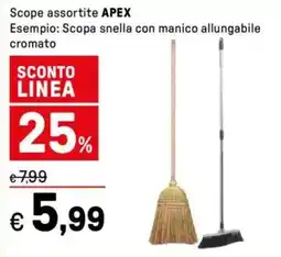 Iper La Grande Scope assortite APEX offerta