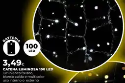 Ipercoop Catena luminosa 100 led offerta
