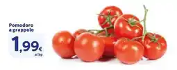 Sigma Pomodoro a grappolo offerta
