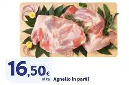 Sigma Agnello in parti offerta