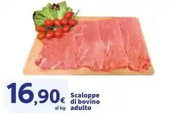 Sigma Scaloppe di bovino adulto offerta