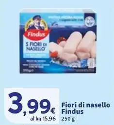 Sigma Fiori di nasello Findus offerta